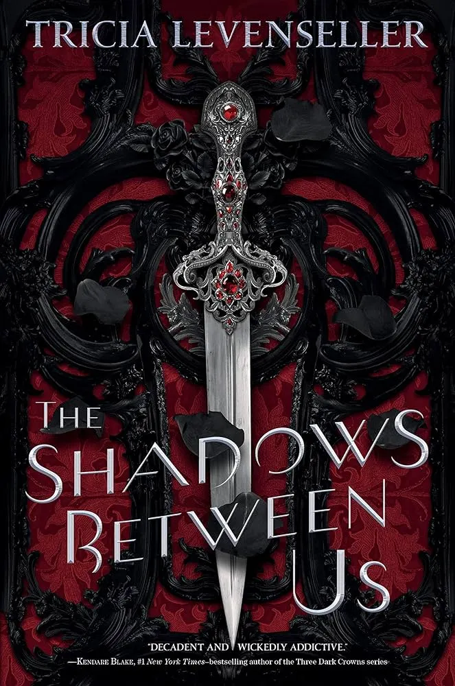 Cover of the novel "The Shadow Between Us" featuring a fantasy-themed design with a central character.